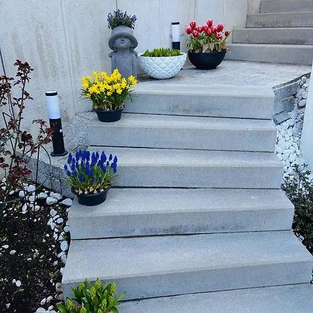 Meltom'shome * 알라겐